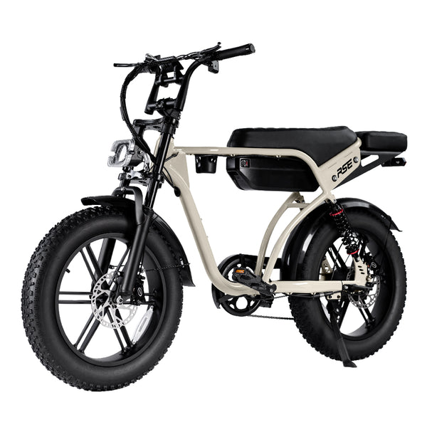 Cruise RSE Electric Bike