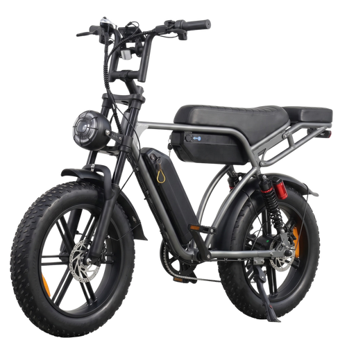 Cruise X29 (90km)