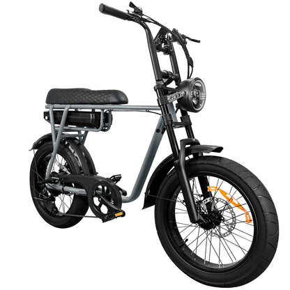 EB2 Electric Bike