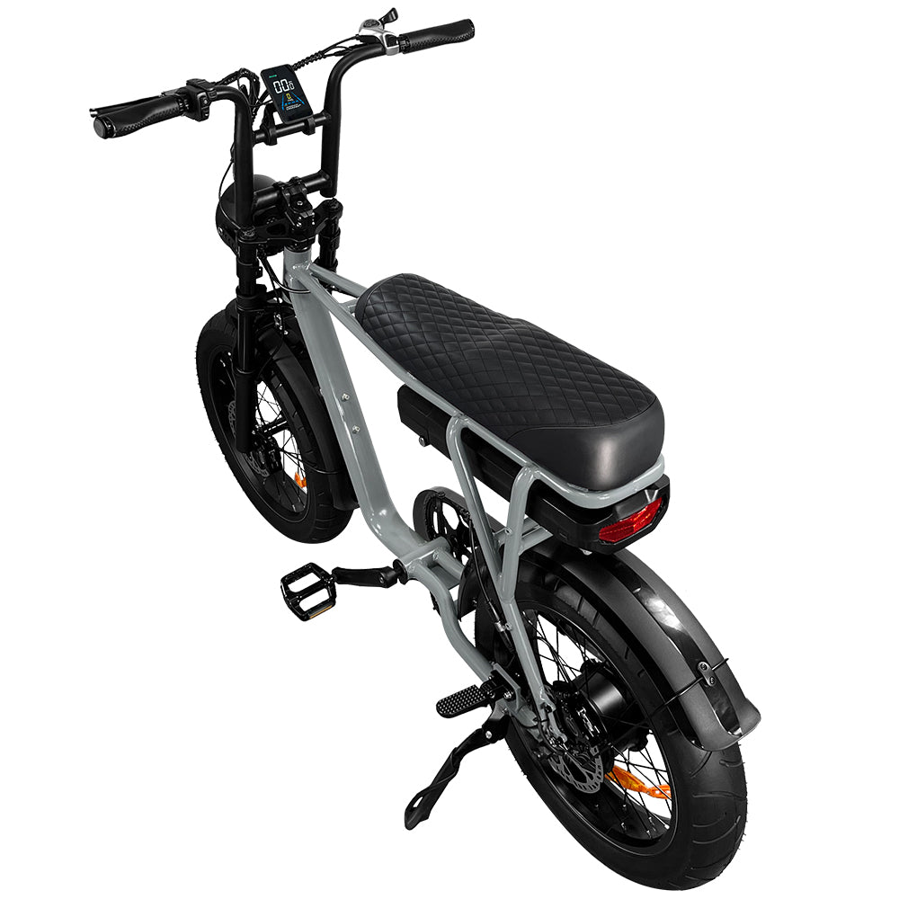 EB2 Electric Bike