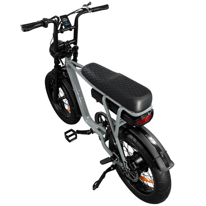 EB2 Electric Bike