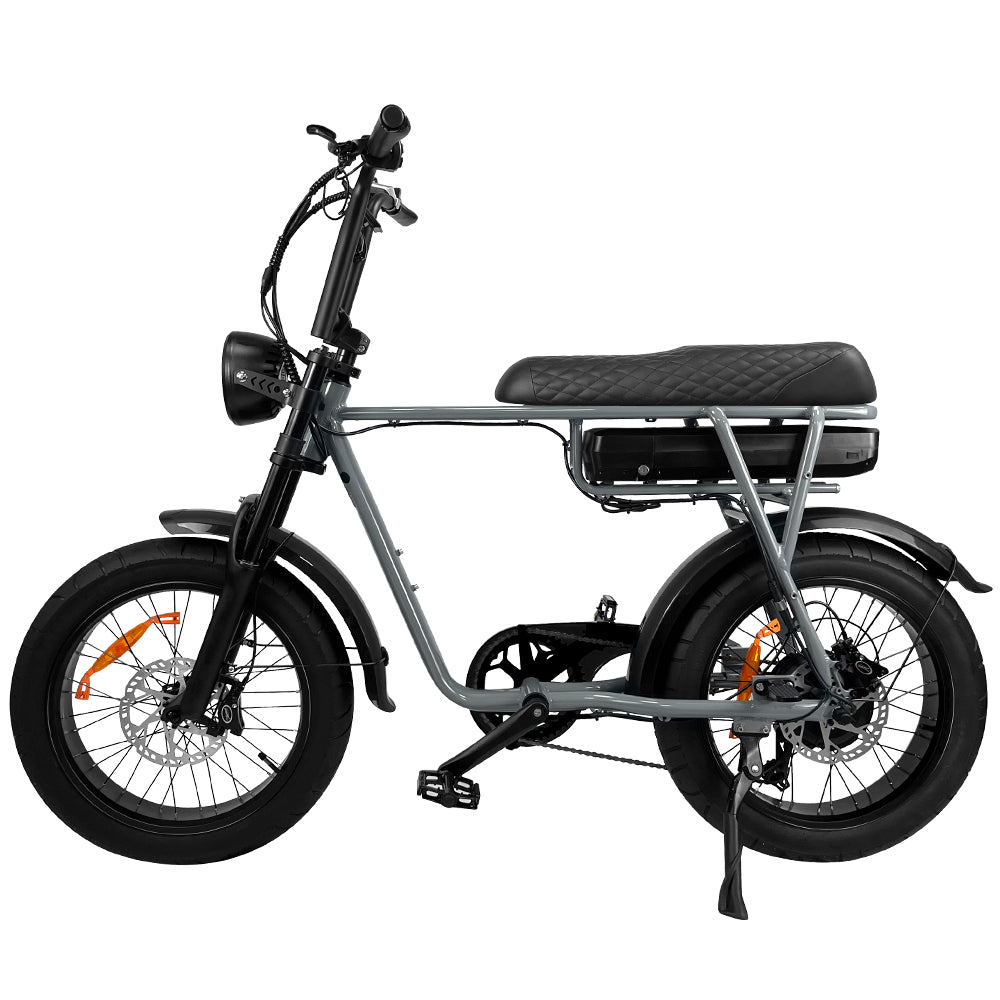 EB2 Electric Bike