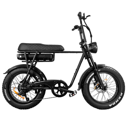 EB2 Electric Bike
