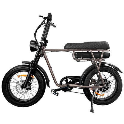 EB2 Electric Bike