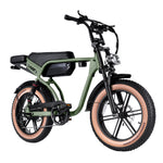 Cruise RSE Electric Bike