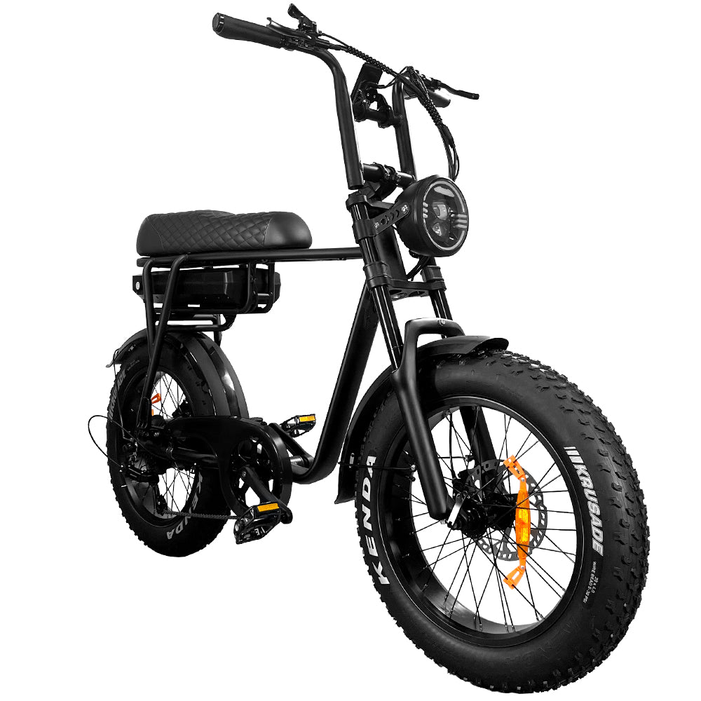 EB2 Electric Bike