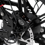 Cruise RSE Electric Bike