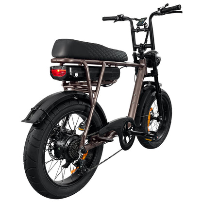 EB2 Electric Bike