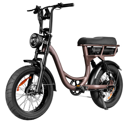 EB8 Electric Bike