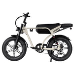 Cruise RSE Electric Bike