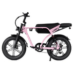 Cruise RSE Electric Bike
