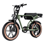Cruise RSE Electric Bike