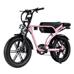 Cruise RSE Electric Bike
