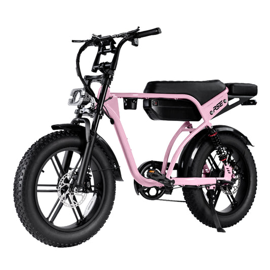 Cruise RSE Electric Bike