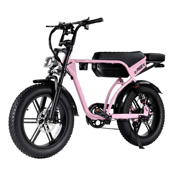 Cruise RSE Electric Bike