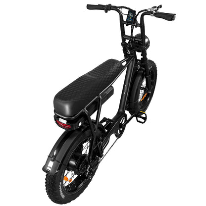 EB2 Electric Bike