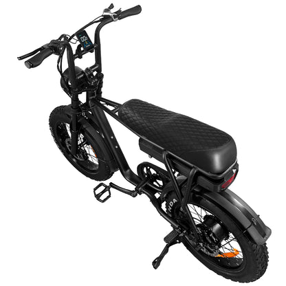 EB2 Electric Bike