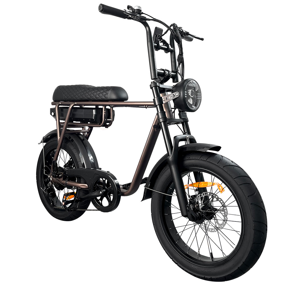 EB2 Electric Bike