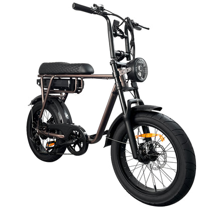 EB2 Electric Bike