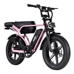 Cruise RSE Plus Dual Battery