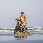 Cruise X29 Dual Battery (90km)