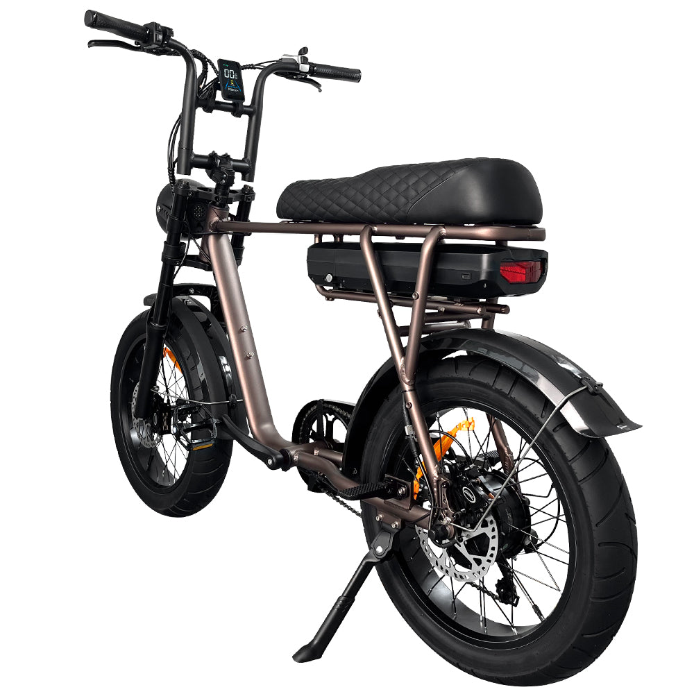 EB2 Electric Bike