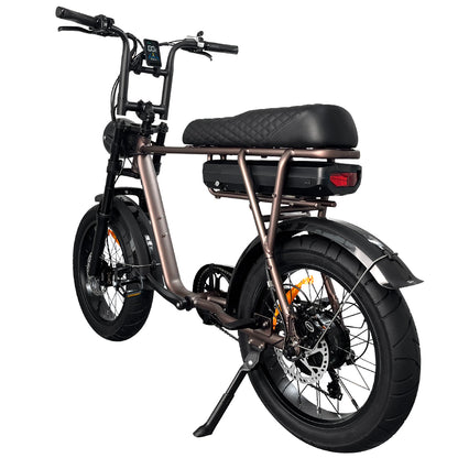 EB2 Electric Bike