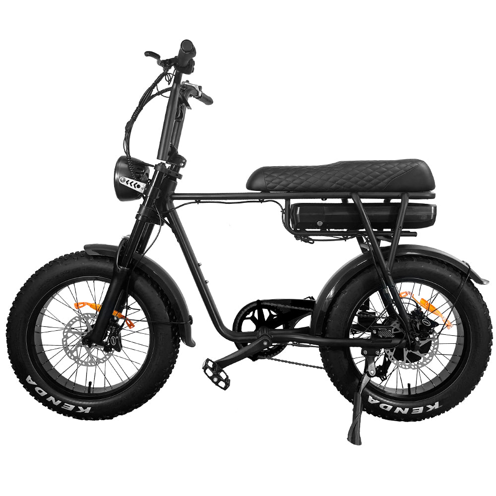 EB2 Electric Bike