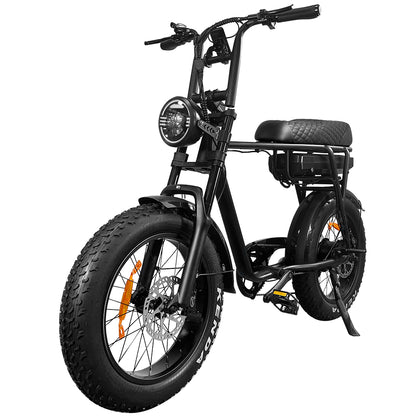 EB2 Electric Bike