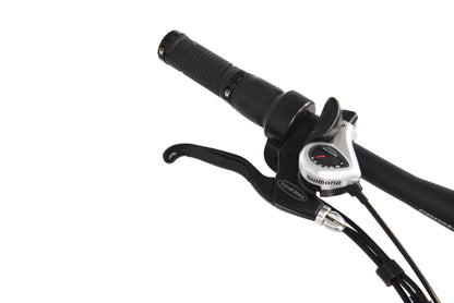 Zephyr Skyline Electric Bike