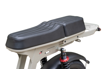 Cruise D50 - Step Through eBike