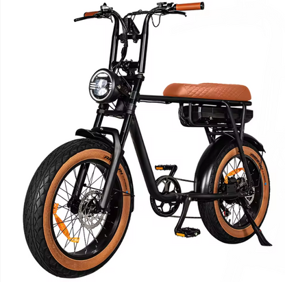 Cruise EB2 Electric Bike