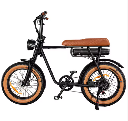 Cruise EB2 Electric Bike