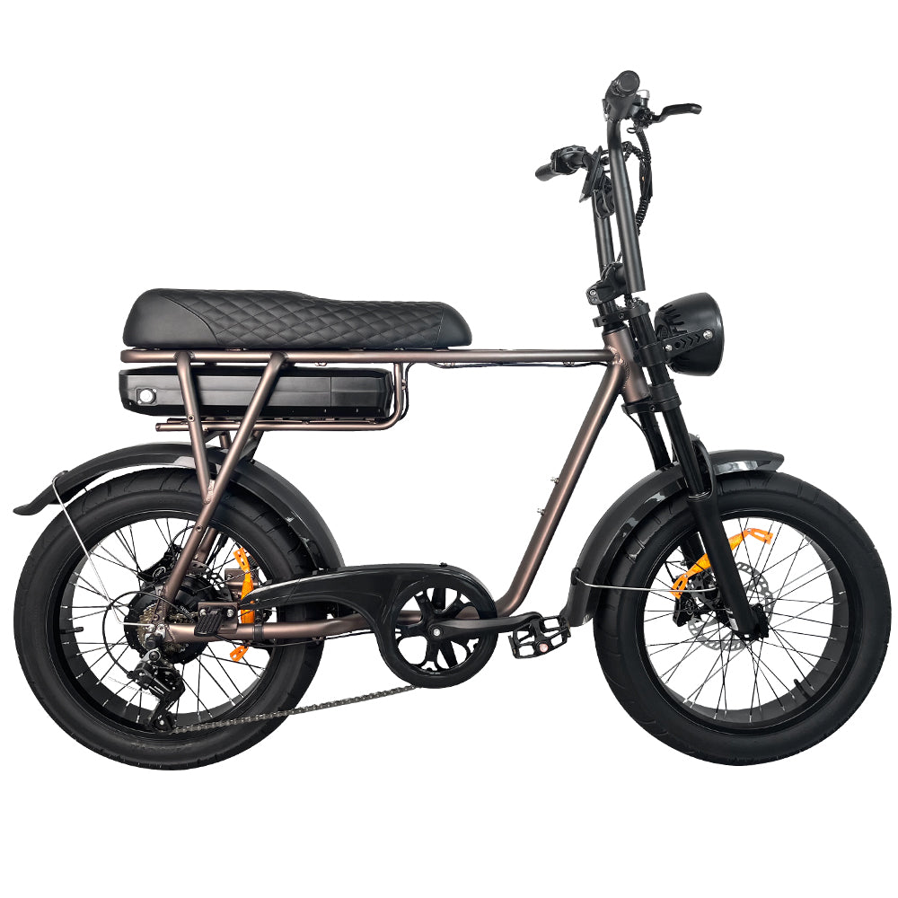 EB2 Electric Bike