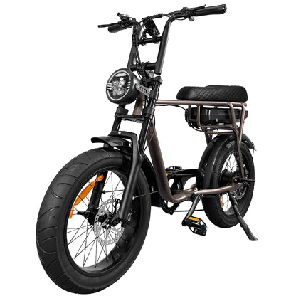 EB2 Electric Bike