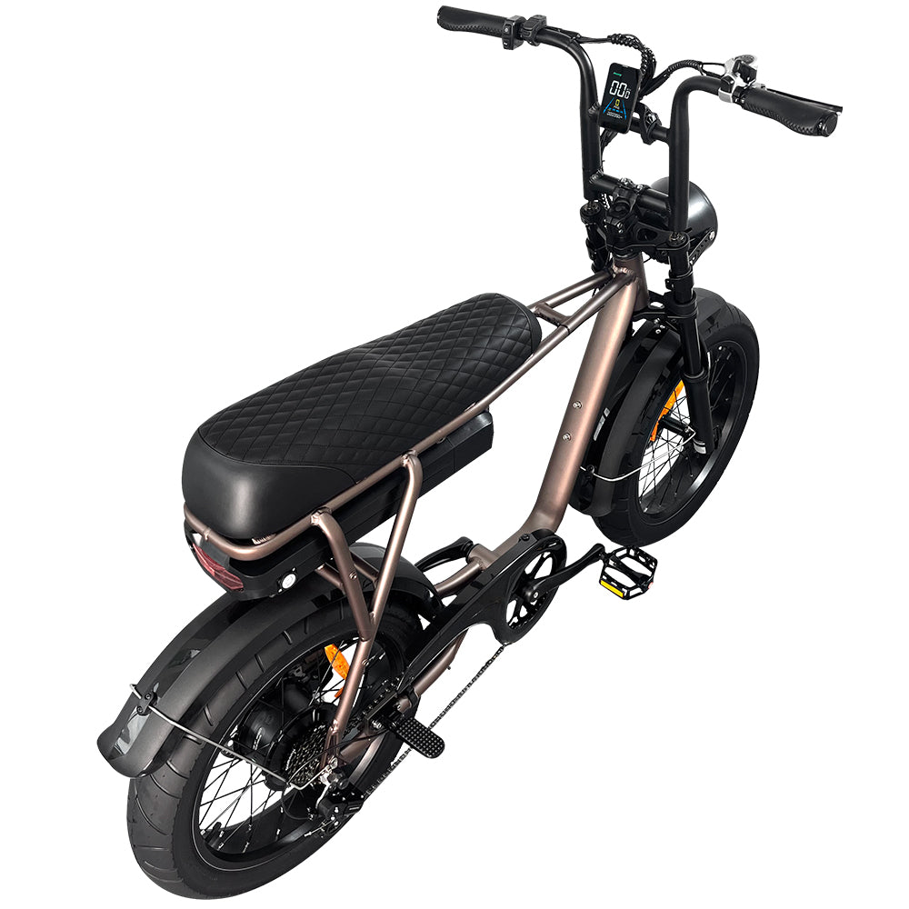 EB2 Electric Bike