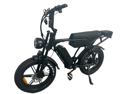 Cruise X29 Dual Battery (90km)
