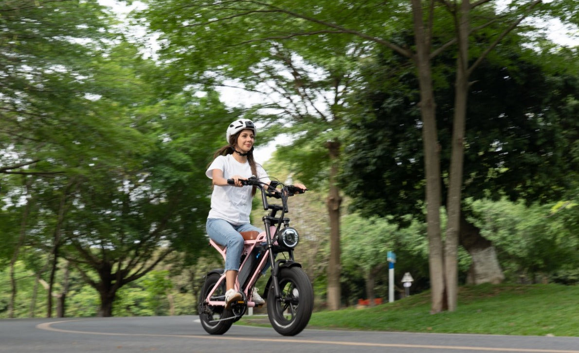 All Bikes Zephyr Ebikes all-bikes-zephyr-ebikes