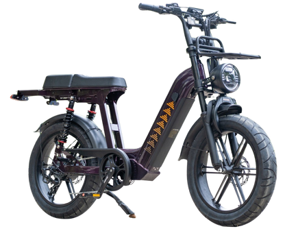 Cruise D50 - Step Through eBike