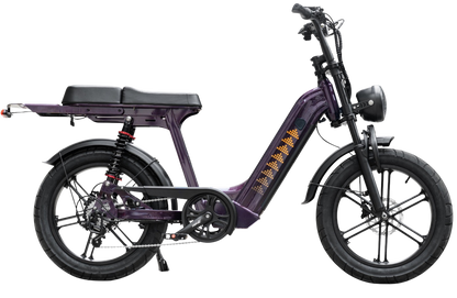 Cruise D50 - Step Through eBike