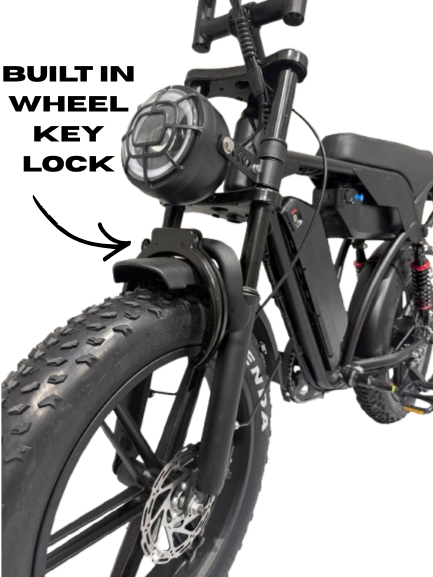 Cruise X29 Dual Battery (90km)