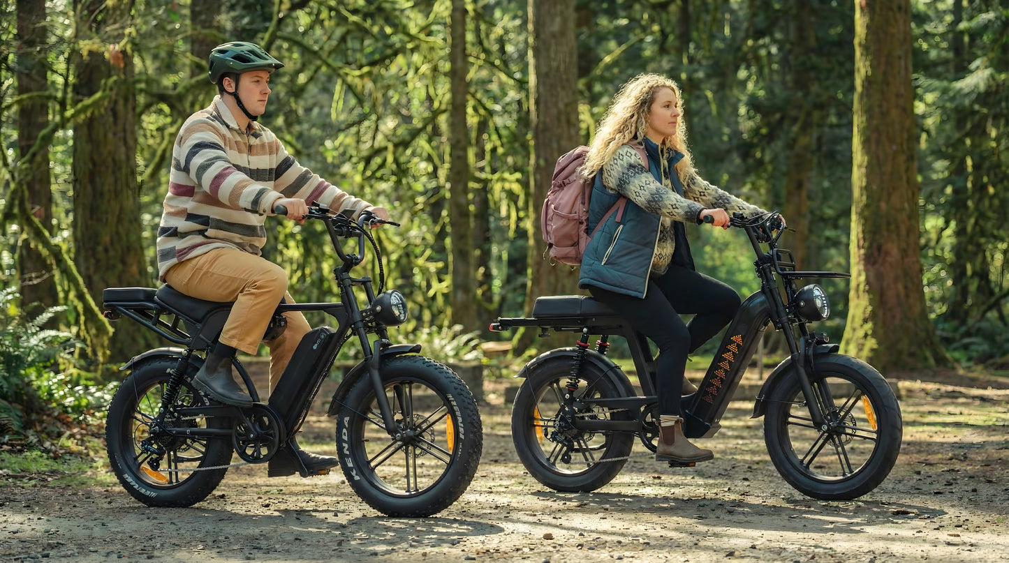 Cruise X29 Dual Battery (90km)